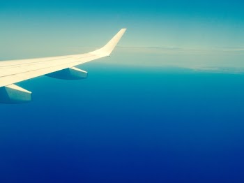 White Airplane Wing