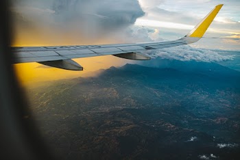 White Airplane Wing