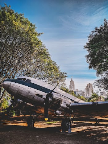 White and Black Airplane Besides Trees