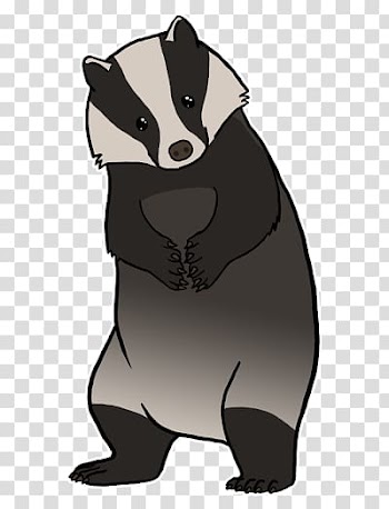 White and black animal , Badger transparent background PNG clipart