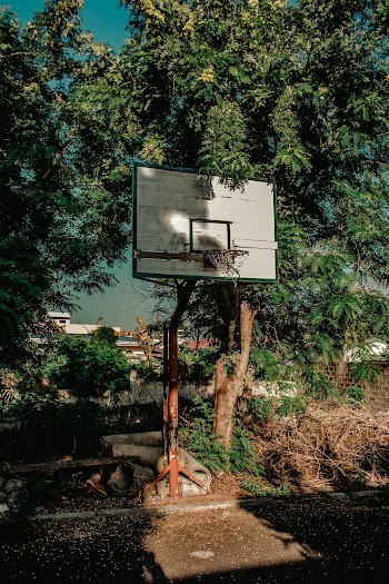 White and Black Basketball Hoop Beside Green Trees