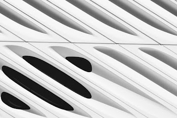 White and Black Car Door