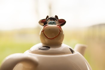 White and Black Ceramic Cattle Teapot Photo
