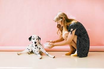 White and Black Dalmatian Dog Sitting in Front of Woman Near Wall
