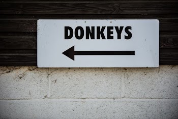 white and black Donkeys arrow signage