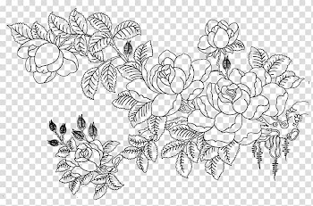 White and black floral illustration, Rosa multiflora Drawing Flower Sketch, Flower sketch transparent background PNG clipart