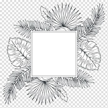 White and black leaf frame illustration, Tropics Plant Sketch, Tropical plants transparent background PNG clipart