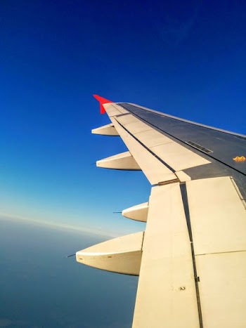 White and Black Left Plane Wing