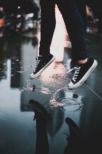 White-and-black Low-top Sneakers