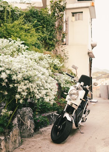 White and Black Motor Scooter Parked Besides White Petaled Flowers Near White Building