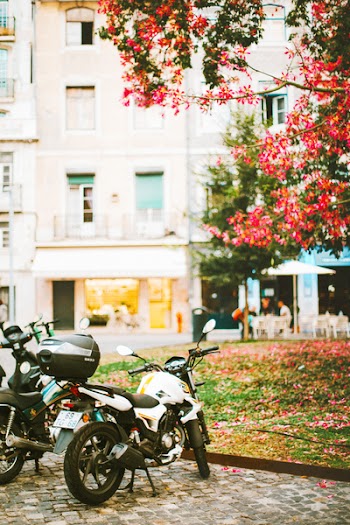White and Black Motorcycle Parked Near Trees