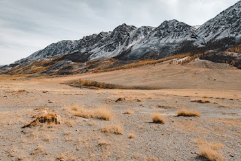 White and Black Mountain Alps