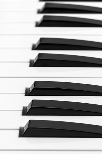 White and Black Piano Keys