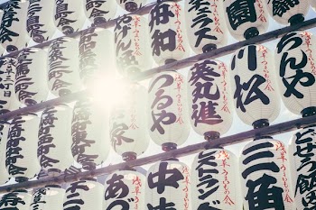 white and black printed lantern lot