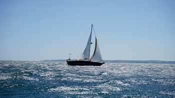 White and Black Sail Boat on Ocean