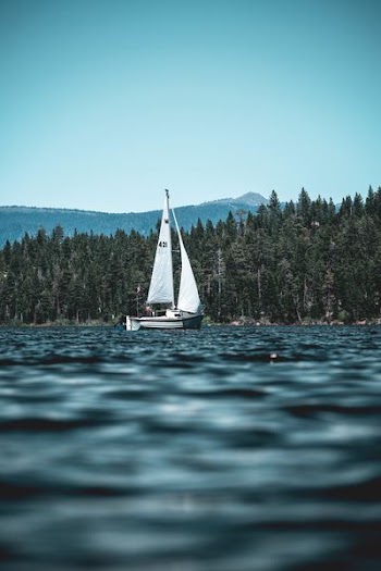 white and black sailboat on body of water near green high trees and mountain under blue sky at daytime