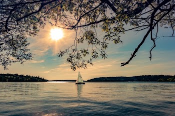 White and Black Selling Boat on Bed of Water during Daytime