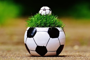 White and Black Soccer Ball Theme Plant Pot