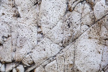 White and Black Stones on Ground