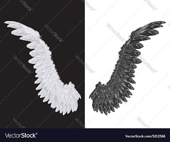 White and Black Wing vector image