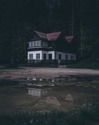 white and black wooden house in the middle of foresh