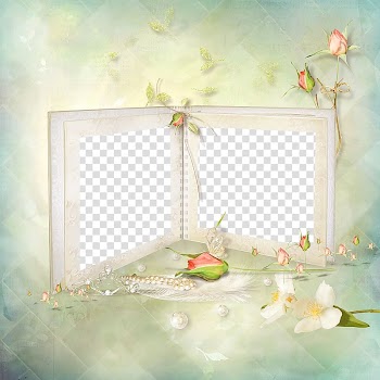 White and blue album and assorted flowers illustration, Bella Swan Edward Cullen Dr. Carlisle Cullen frame , Beautiful white frame transparent background PNG clipart