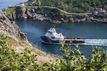White and Blue Boat on Body of Water
