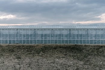 white and blue concrete building