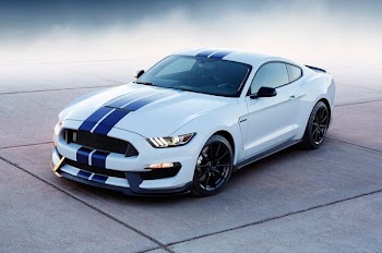 white and blue Ford Mustang
