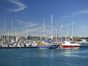 White and Blue Motorboats on Body of Water