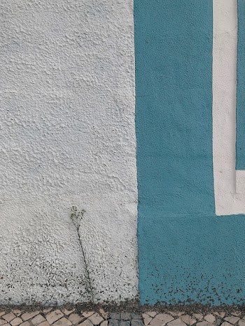 White And Blue Painted Wall