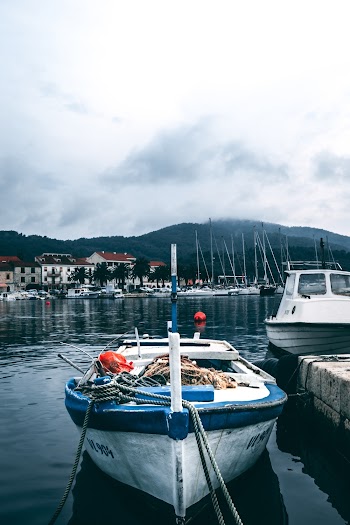 White and Blue Speedboat on Body of Water
