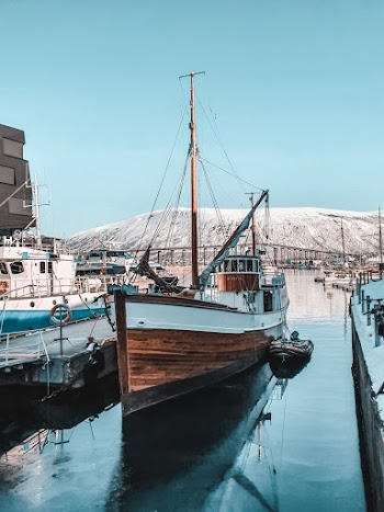 White And Brown Boat Docked 