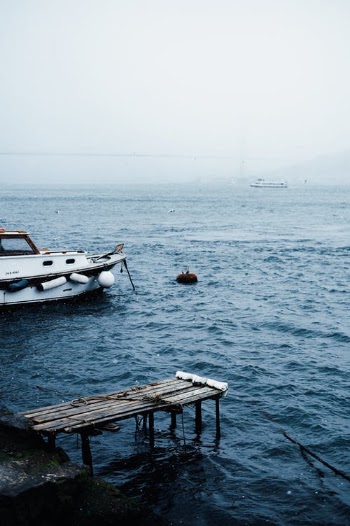 White and Brown Boat on Sea · Free Stock Photo