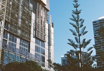 White and Brown Building