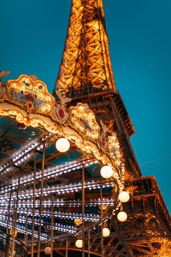 white and brown carousel lights