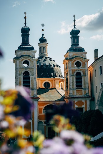 White and Brown Cathedral