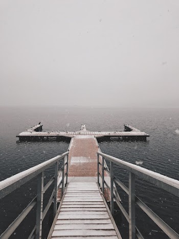 White and Brown Dock