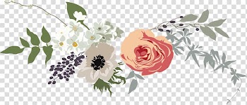 White and brown flowers, Fine flower banner box transparent background PNG clipart