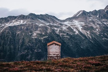 white and brown house facing mountain