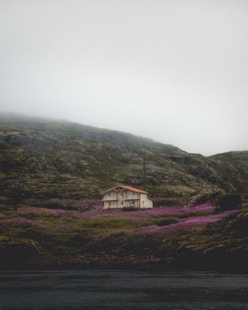 White and Brown House on Green Grass Field · Free Stock Photo