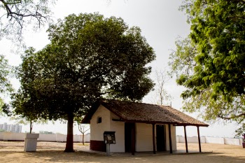 White and Brown House Under Tree