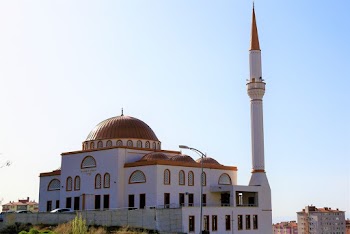 White and Brown Painted Mosque