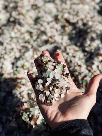 White and Brown Pebbles in Person's Hand