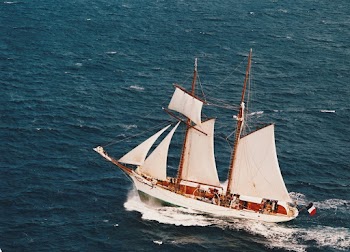 White and Brown Sail Boat on Blue Sea
