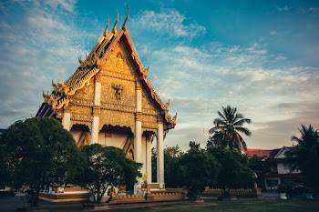 White and Brown Temple Surrounded by Trees