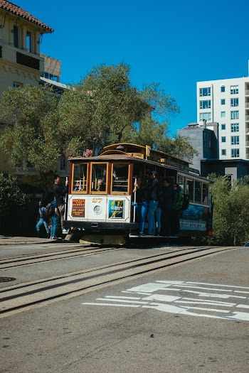 White and Brown Tram