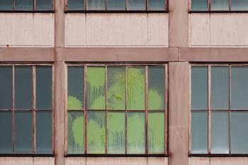 white and brown windows