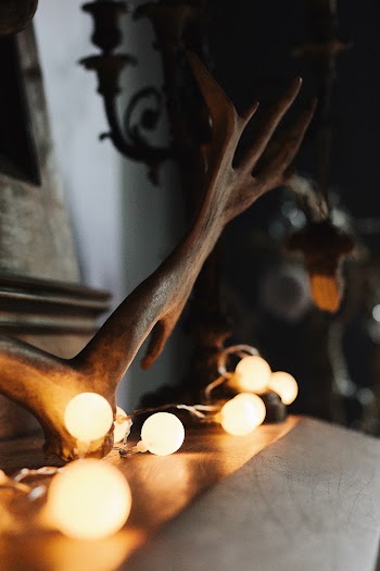 White and Brown Wooden Deer Figurine