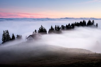 white and brown wooden house surrounded by fogs
